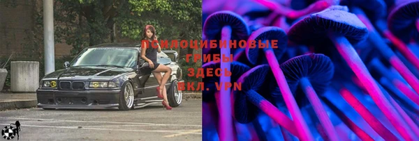 стаф Абинск