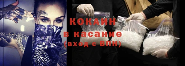 гидра Каменка