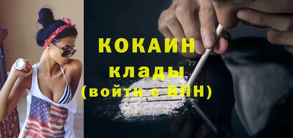 стаф Абинск