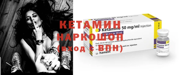шишки Абаза