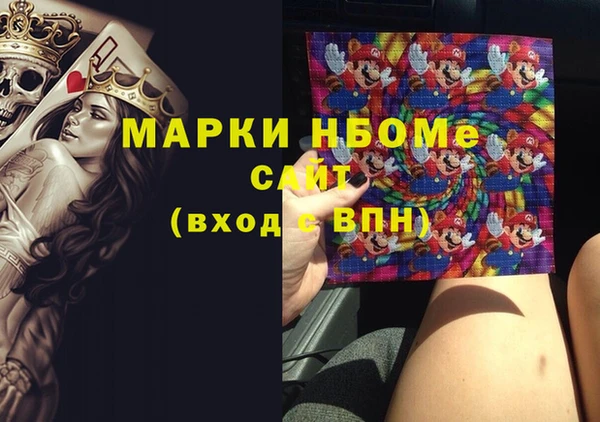 шишки Абаза