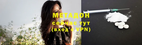шишки Абаза