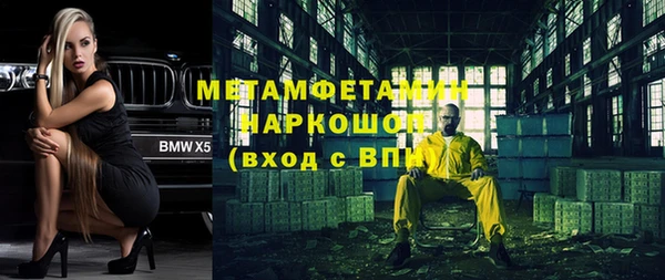 шишки Абаза