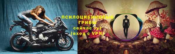 стаф Абинск