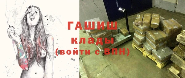 шишки Абаза