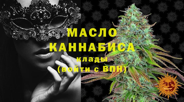 шишки Абаза